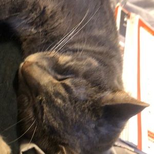 Meet your Posher, Carly